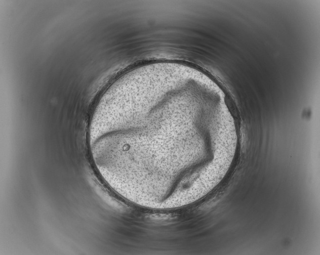 X0000111920445200908171328