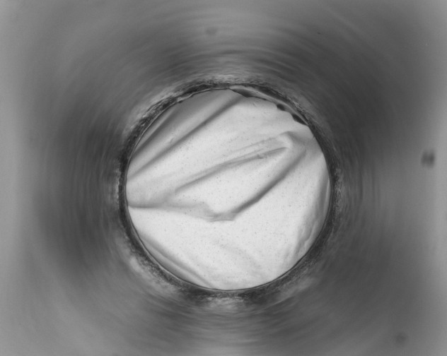 X0000111920446200908171328