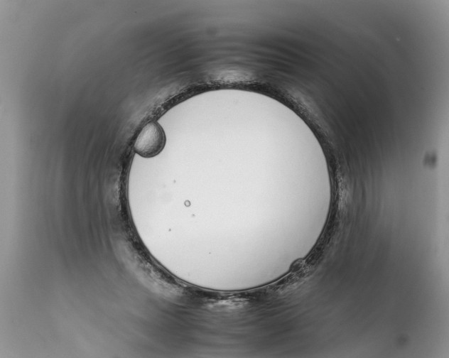 X0000111920447200908171328