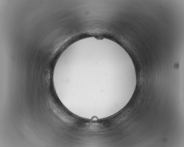 X0000111920448200908171328