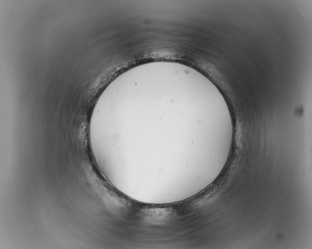 X0000111920449200908171328