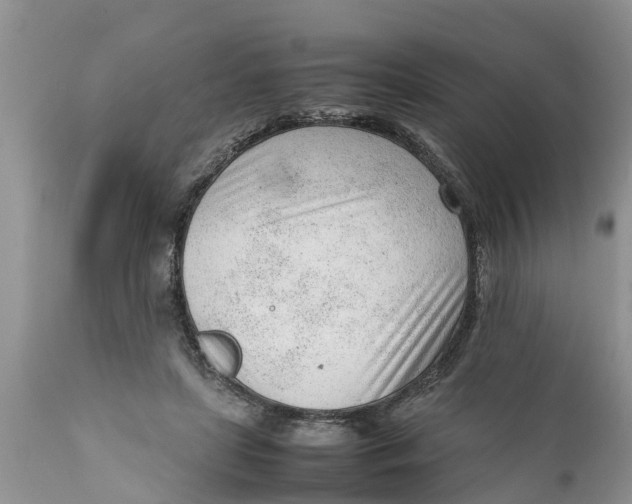 X0000111920451200908171328