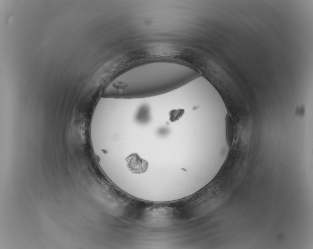 X0000111920452200908171328