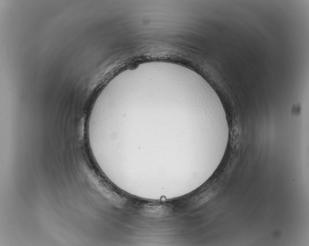 X0000111920454200908171328