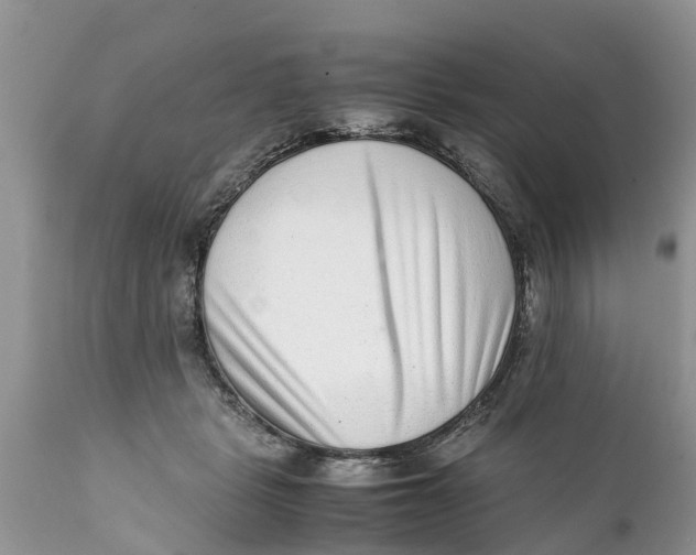 X0000111920461200908171328