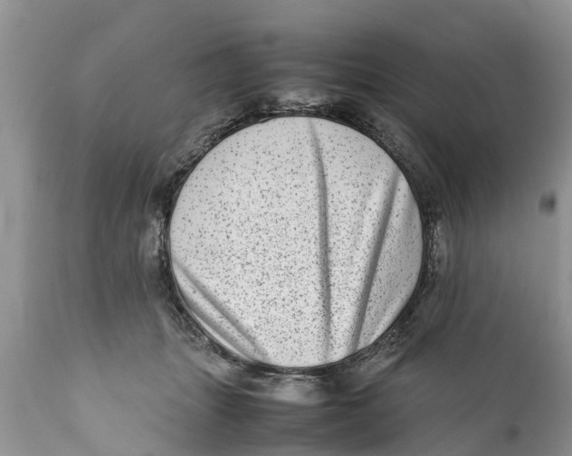 X0000111920463200908171328