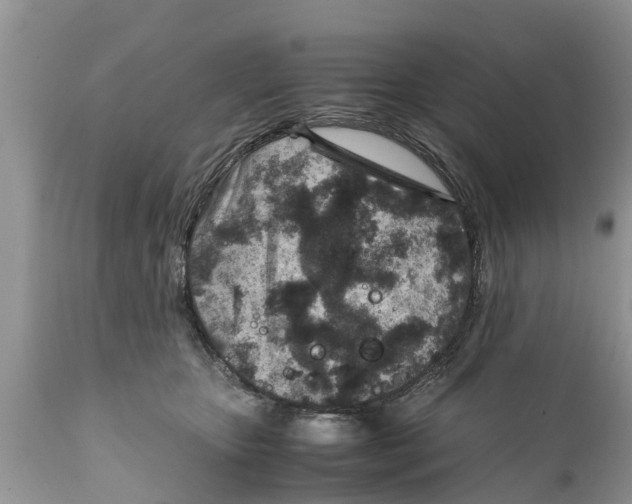 X0000111920467200908171328