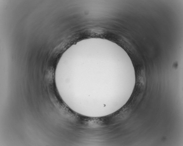 X0000111920468200908171328