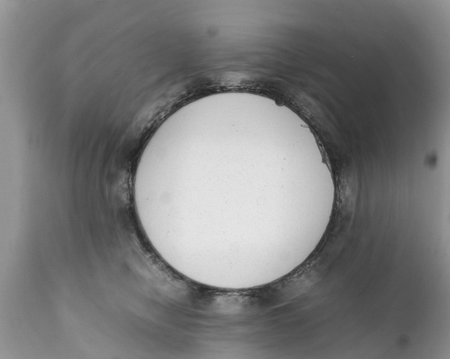 X0000111920470200908171328