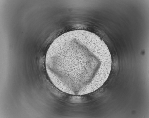 X0000111920473200908171328