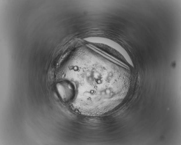 X0000111920475200908171328