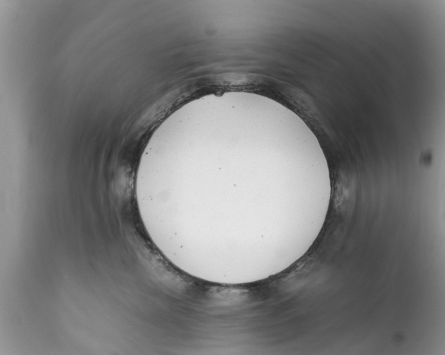 X0000111920476200908171328