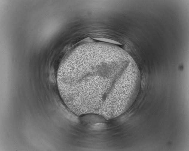 X0000111920477200908171328