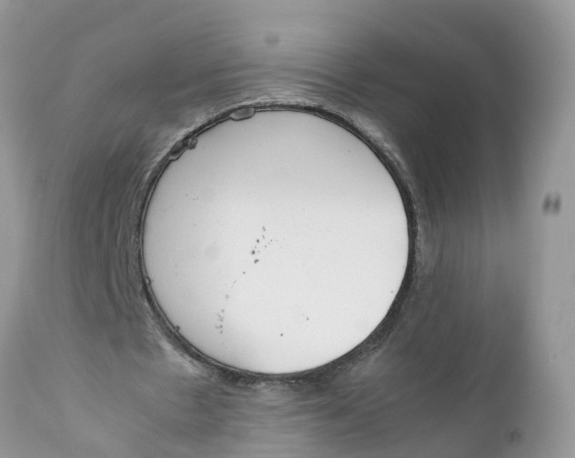 X0000111920481200908171328