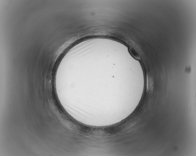 X0000111920483200908171328