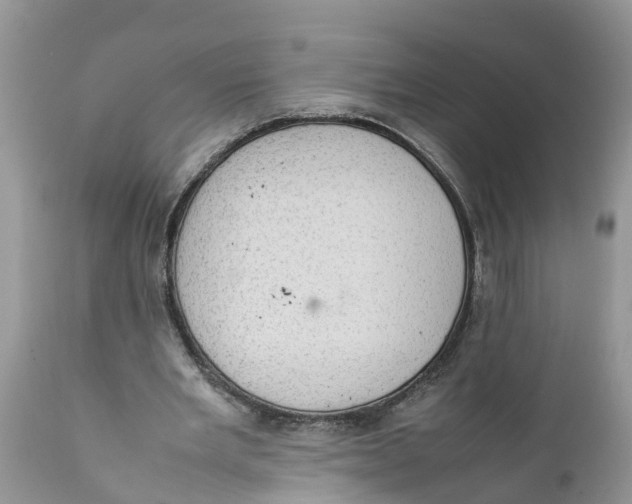 X0000111920485200908171328