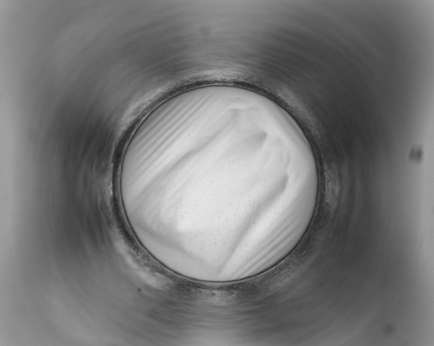 X0000111920486200908171328