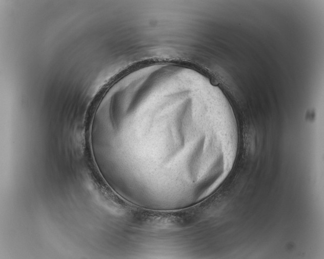 X0000111920488200908171328