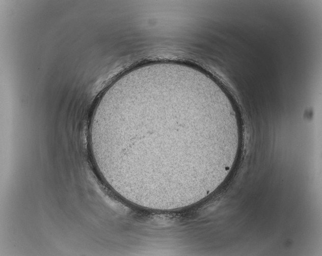 X0000111920489200908171328