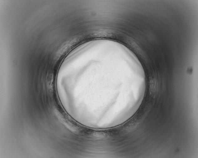 X0000111920490200908171327