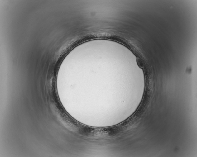 X0000111920491200908171327