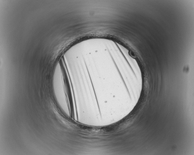 X0000111920493200908171327