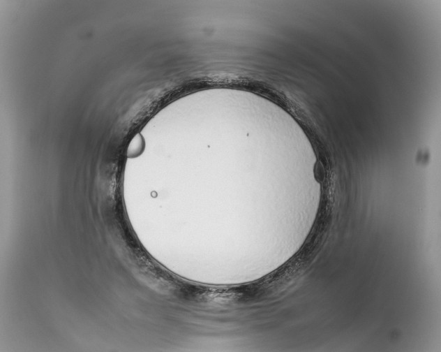 X0000111920495200908171327