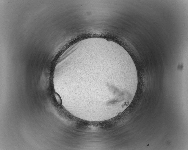 X0000111920496200908171327