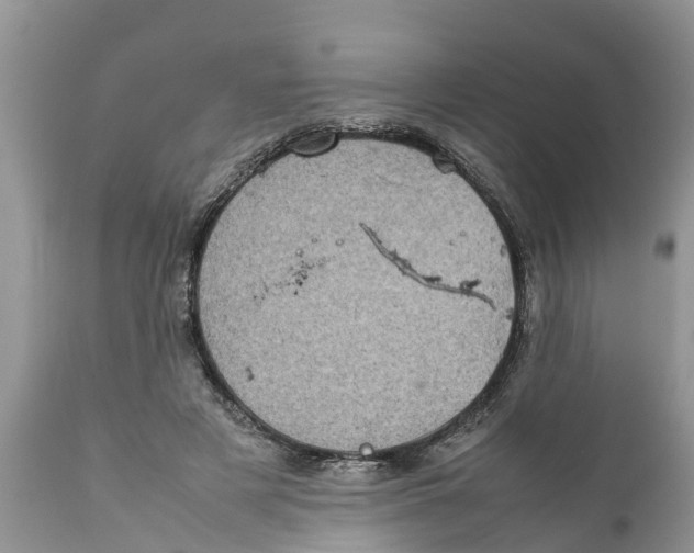 X0000111920497200908171327