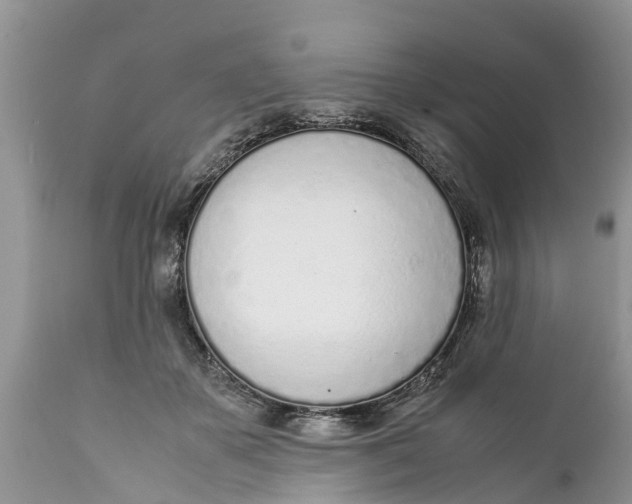 X0000111920507200908171327