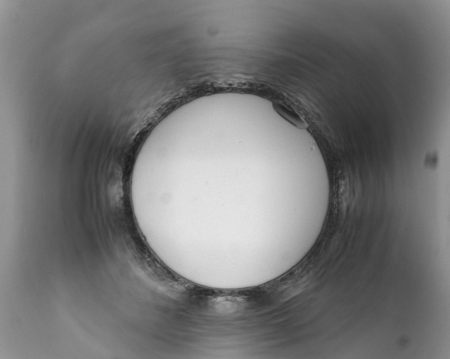 X0000111920508200908171327