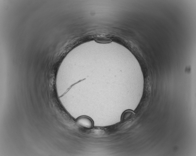 X0000111920509200908171327