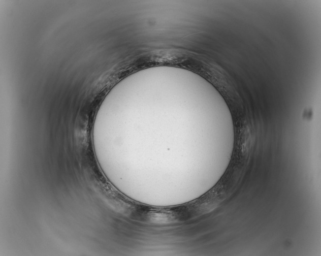 X0000111920510200908171327