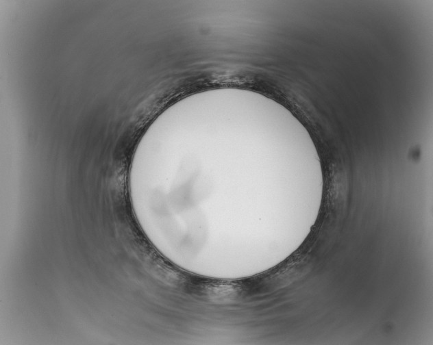 X0000111920513200908171327