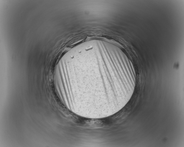 X0000111920517200908171327