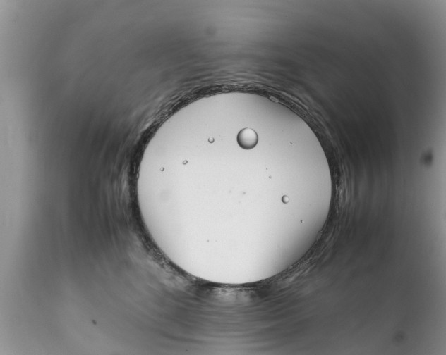 X0000111920520200908171327