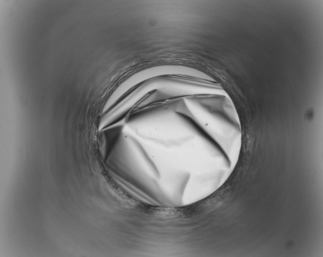 X0000111920521200908171327