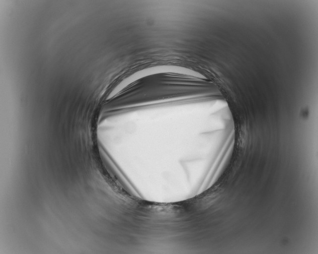 X0000111920524200908171327