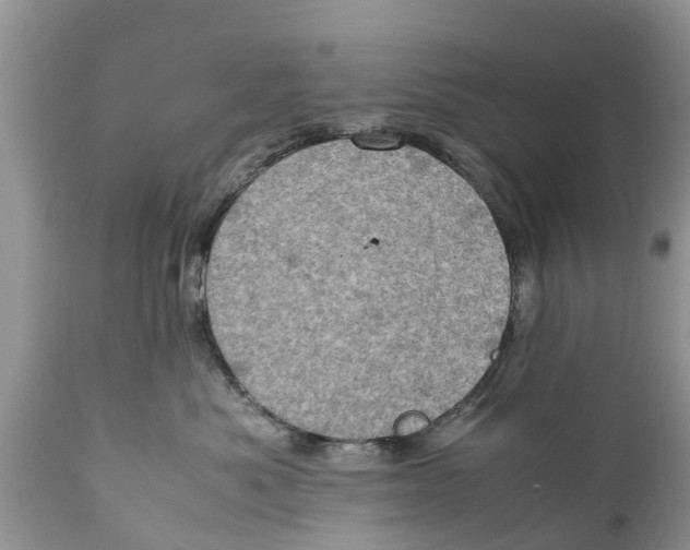 X0000111920525200908171327