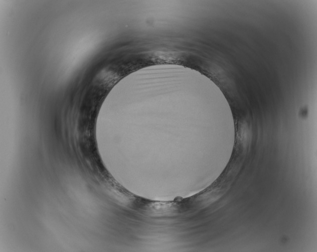 X0000111920526200908171327