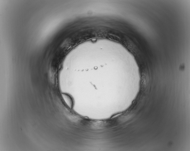 X0000111920527200908171327