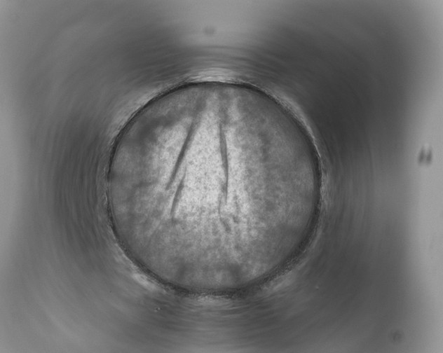 X0000111920529200908171326