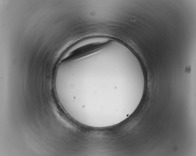 X0000111920530200908171326