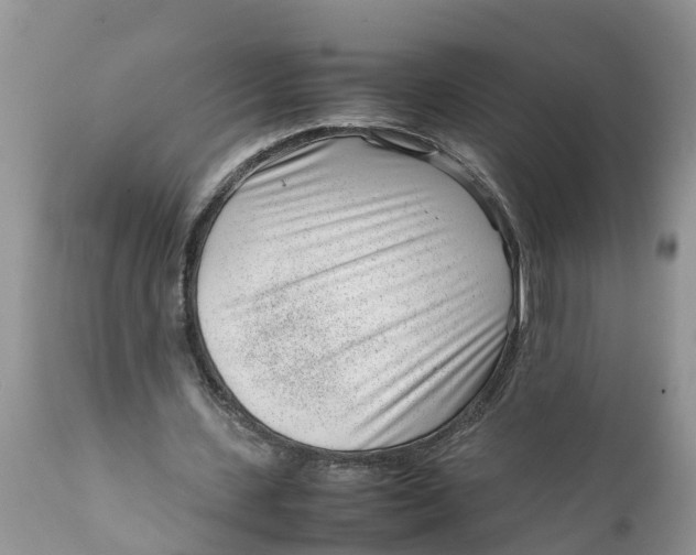 X0000111920531200908171326