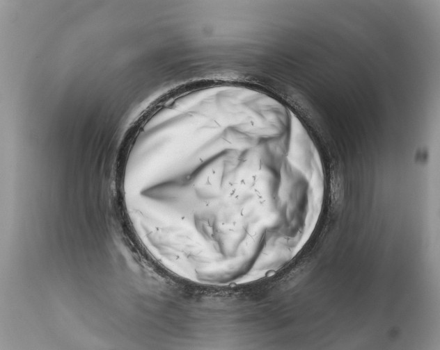 X0000111920532200908171326