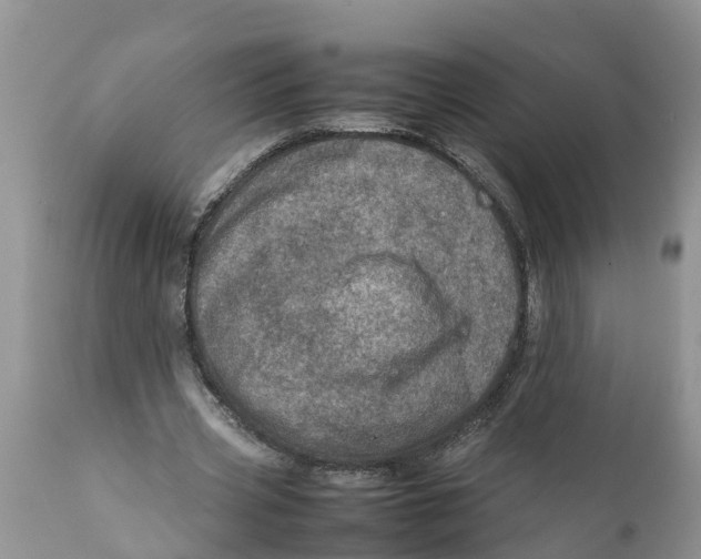 X0000111920533200908171326