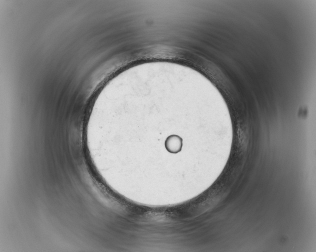 X0000111920534200908171326