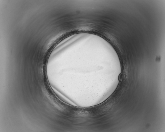 X0000111920535200908171326