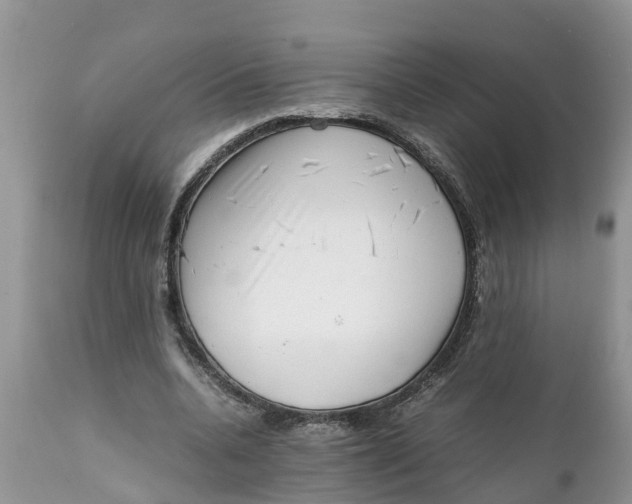 X0000111920536200908171326