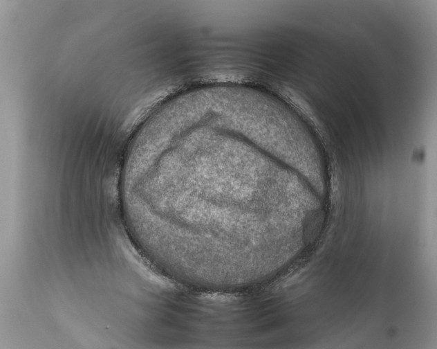 X0000111920537200908171326